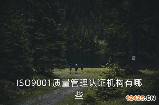 ISO9001質(zhì)量管理認(rèn)證機構(gòu)有哪些