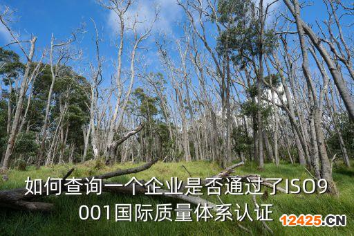 如何查詢一個企業(yè)是否通過了ISO9001國際質(zhì)量體系認(rèn)證