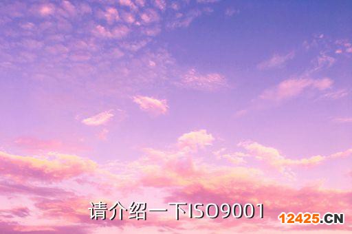 請介紹一下ISO9001