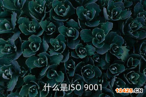 什么是ISO 9001