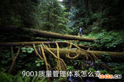 9001質(zhì)量管理體系怎么查