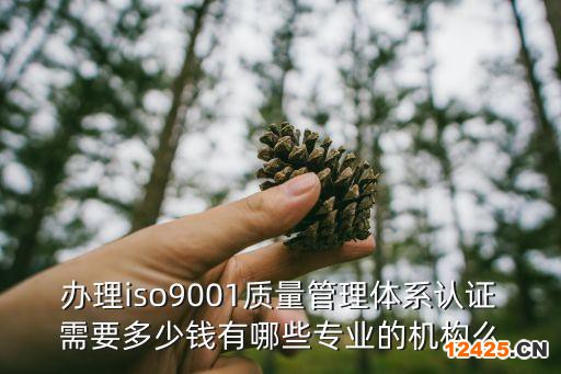 辦理iso9001質(zhì)量管理體系認(rèn)證需要多少錢有哪些專業(yè)的機(jī)構(gòu)么