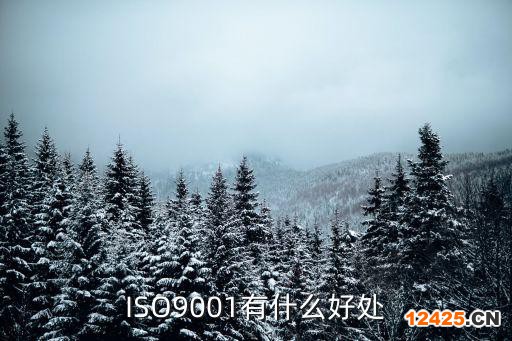 ISO9001有什么好處