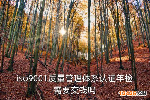 iso9001質(zhì)量管理體系認(rèn)證年檢需要交錢嗎