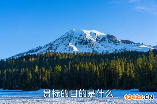 貫標(biāo)的目的是什么