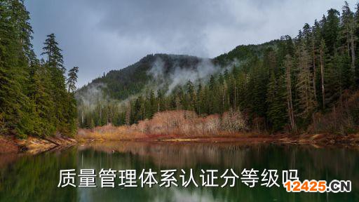 質(zhì)量管理體系認(rèn)證分等級嗎