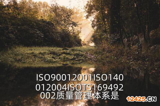 ISO90012001ISO140012004ISOTS169492002質(zhì)量管理體系是