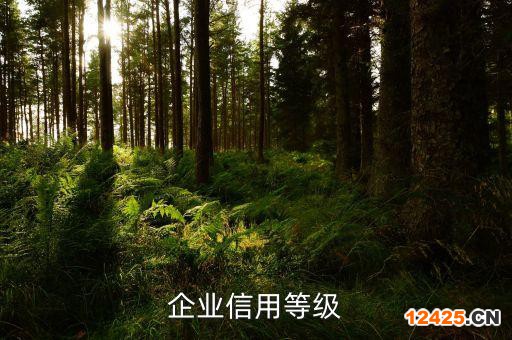 企業(yè)信用等級(jí)