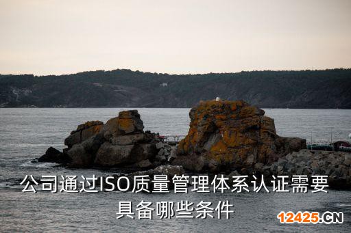 公司通過ISO質(zhì)量管理體系認證需要具備哪些條件
