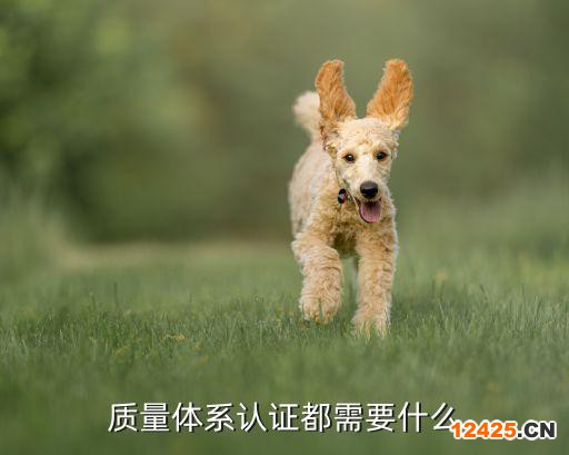 質(zhì)量體系認證都需要什么