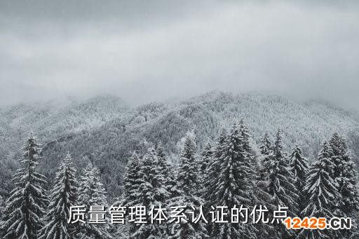 質(zhì)量管理體系認(rèn)證的優(yōu)點(diǎn)