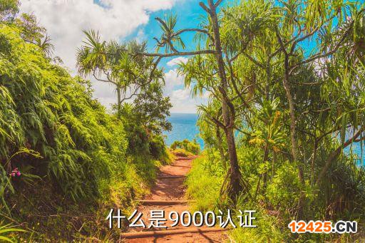 什么是9000認證