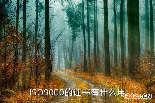 ISO9000的證書(shū)有什么用