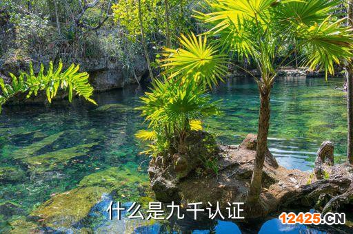 什么是九千認證