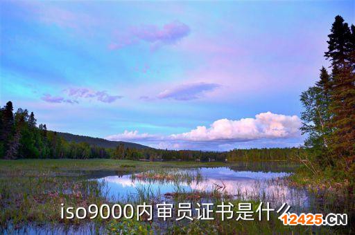 iso9000內(nèi)審員證書是什么