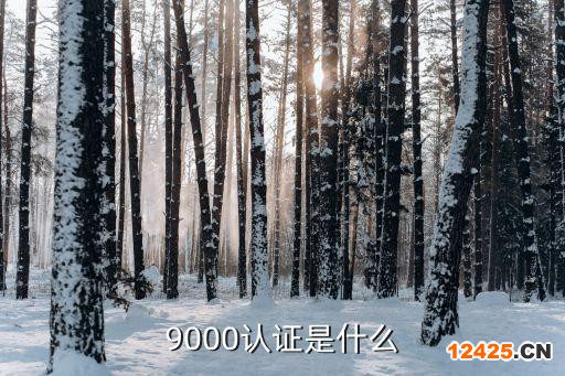 9000認(rèn)證是什么