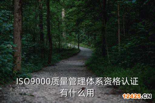 ISO9000質(zhì)量管理體系資格認(rèn)證有什么用