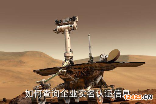 如何查詢企業(yè)實名認證信息