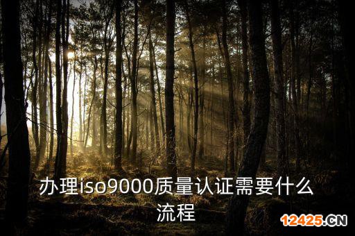 辦理iso9000質(zhì)量認(rèn)證需要什么流程
