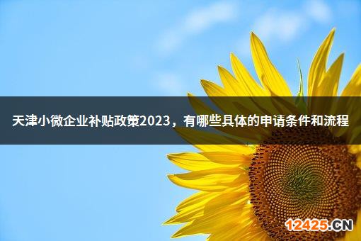 天津小微企業(yè)補(bǔ)貼政策2023.有哪些具體的申請條件和流程-1