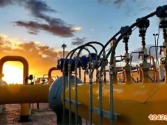 API認(rèn)證咨詢機(jī)構(gòu)