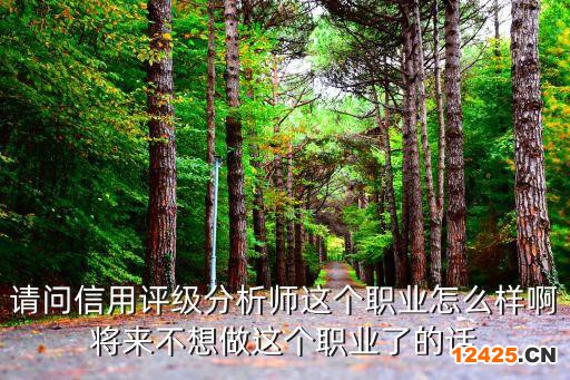 請問信用評級分析師這個(gè)職業(yè)怎么樣啊將來不想做這個(gè)職業(yè)了的話